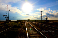 Trains