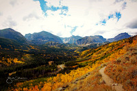 Fall Colors RMNP 2016-2022